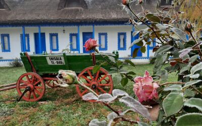 Ecouri din Dobrogea – Istorie, tradiții și viața locală