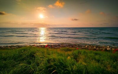 Sips, Sea & Sunset – Wine, Wild Beach & Summer Evenings in Dobrogea.