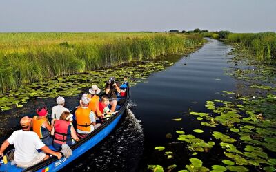 Excursie de o zi în Delta Dunării – Murighiol