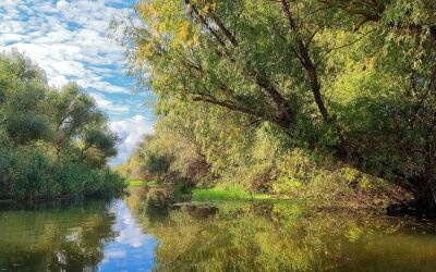 Tulcea și Delta Dunării – Excursie de 1 Zi cu Plecare din București