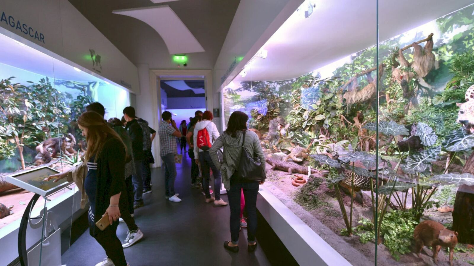 Bilet Intrare Expoziția Permanentă Muzeul Național de Istorie Naturală Grigore Antipa București image 5