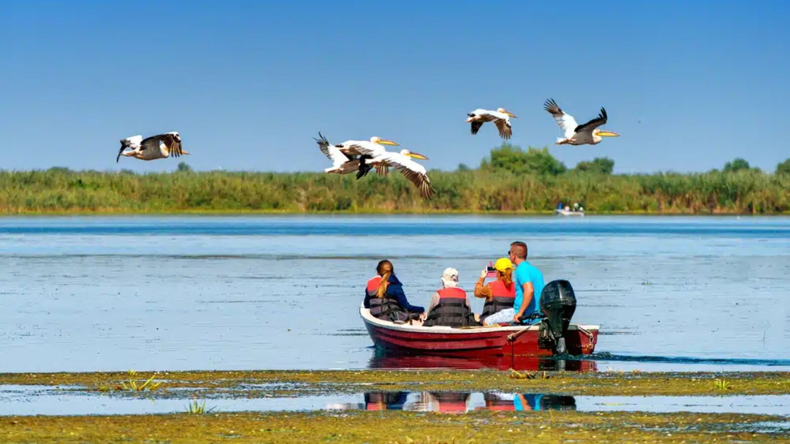 Descoperă Miracolul Deltei Dunării – Excursie de o zi din Constanța & Mangalia image 1