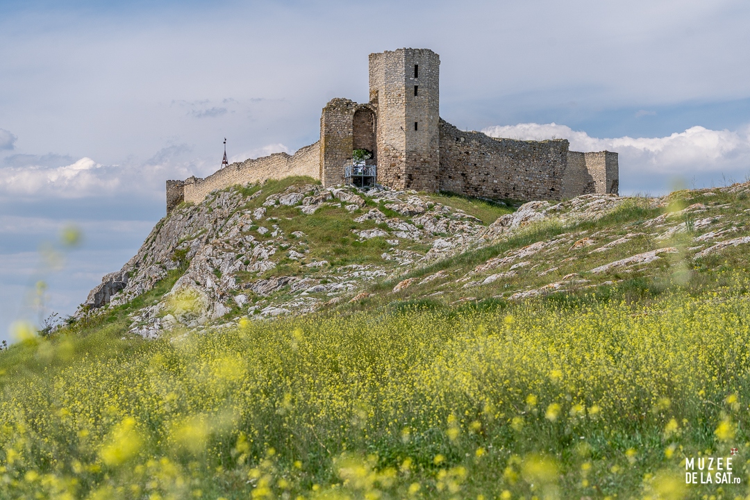 Dobrogea: O călătorie printre Tradiții, Vin și Istorie